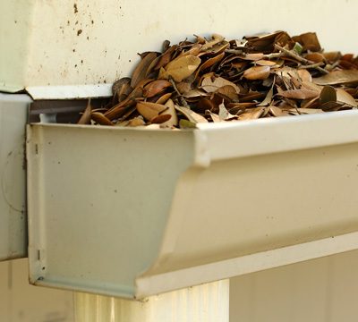 A gutter full of leaf litter.