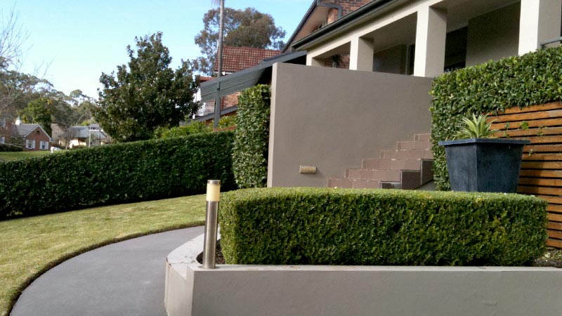 A shaped hedge.