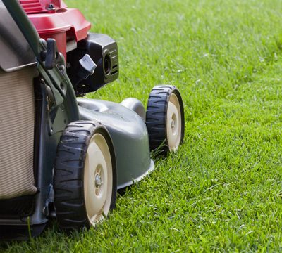 Lawn mowing.