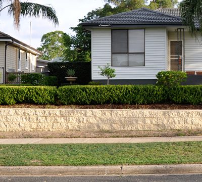 A well presented house following a pre-sale cleanup service.