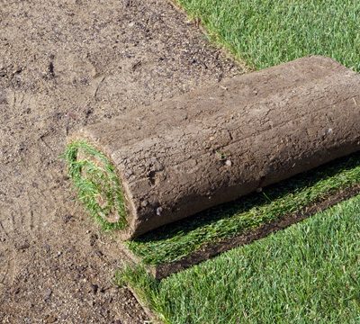 Rolling new turf.