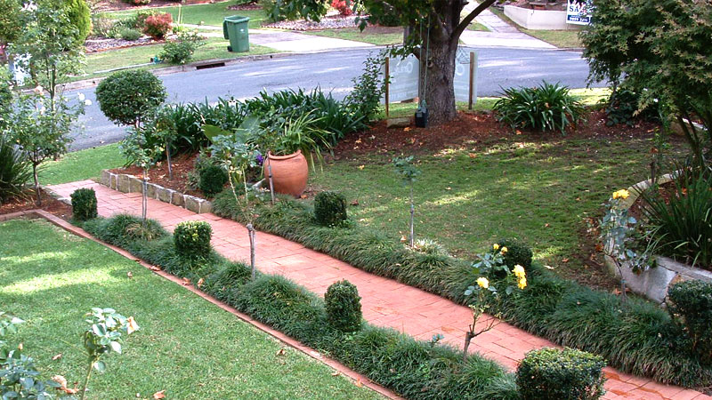 A well maintained garden.