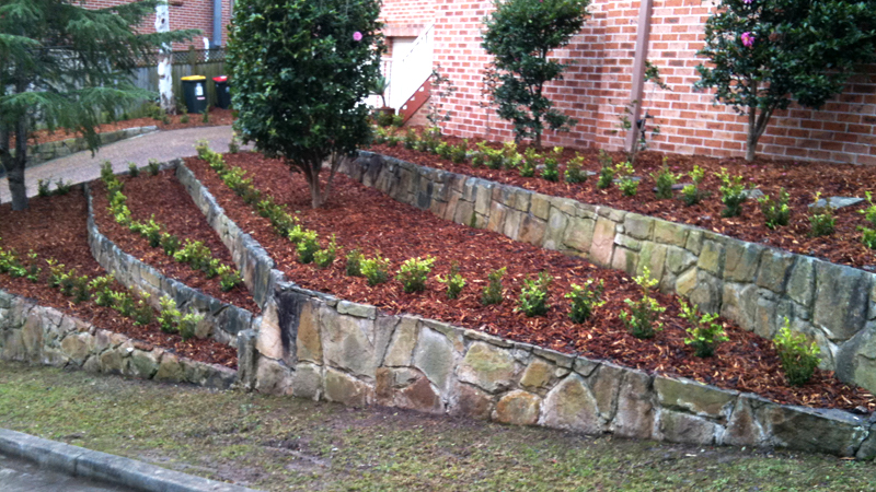 A garden after restoration.