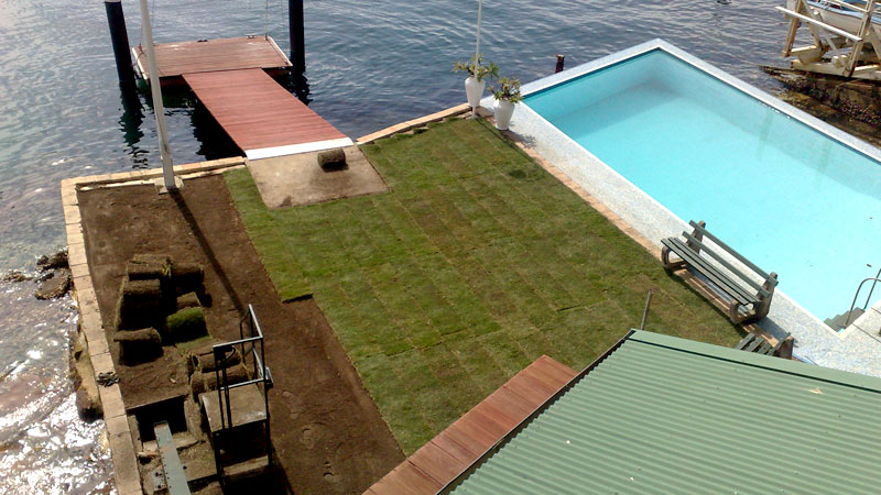New turf on a waterfront property.