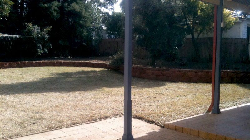 A cleaned up yard.