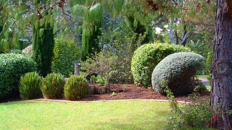 A maintained garden and lawn.