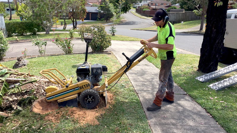 A tree stump being ground out.