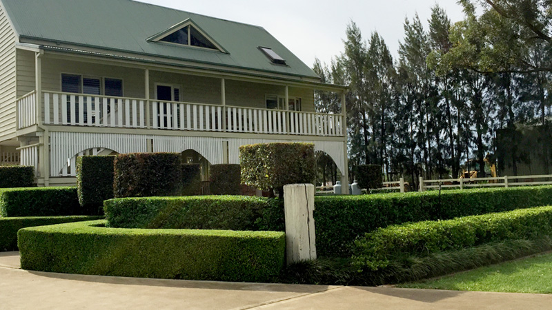 Formal hedges at a house frontage.