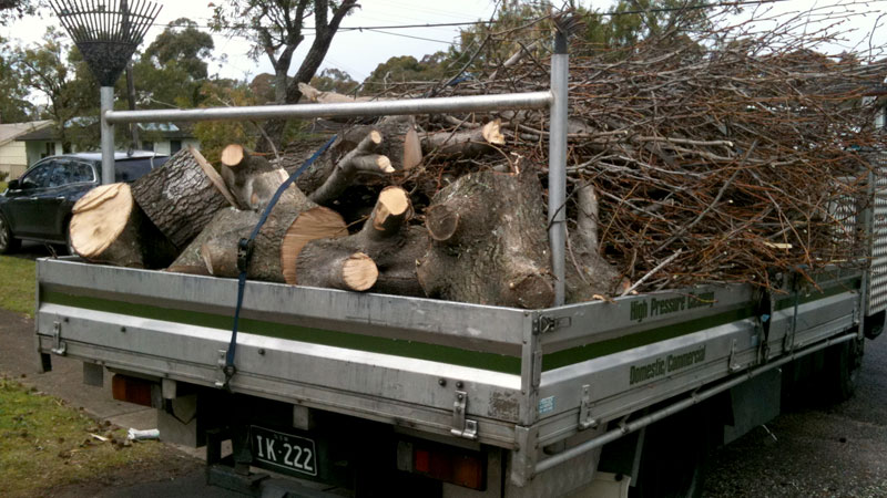 A ute loaded with garden rubbish.