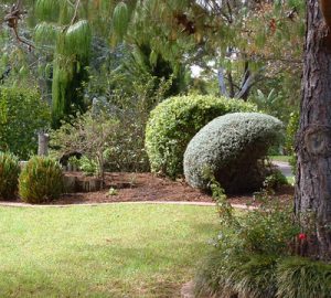 beautifully maintained garden with neat edges and trimmed bushes