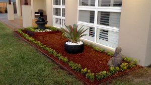 Front garden landscaping with hedge and pot plant.